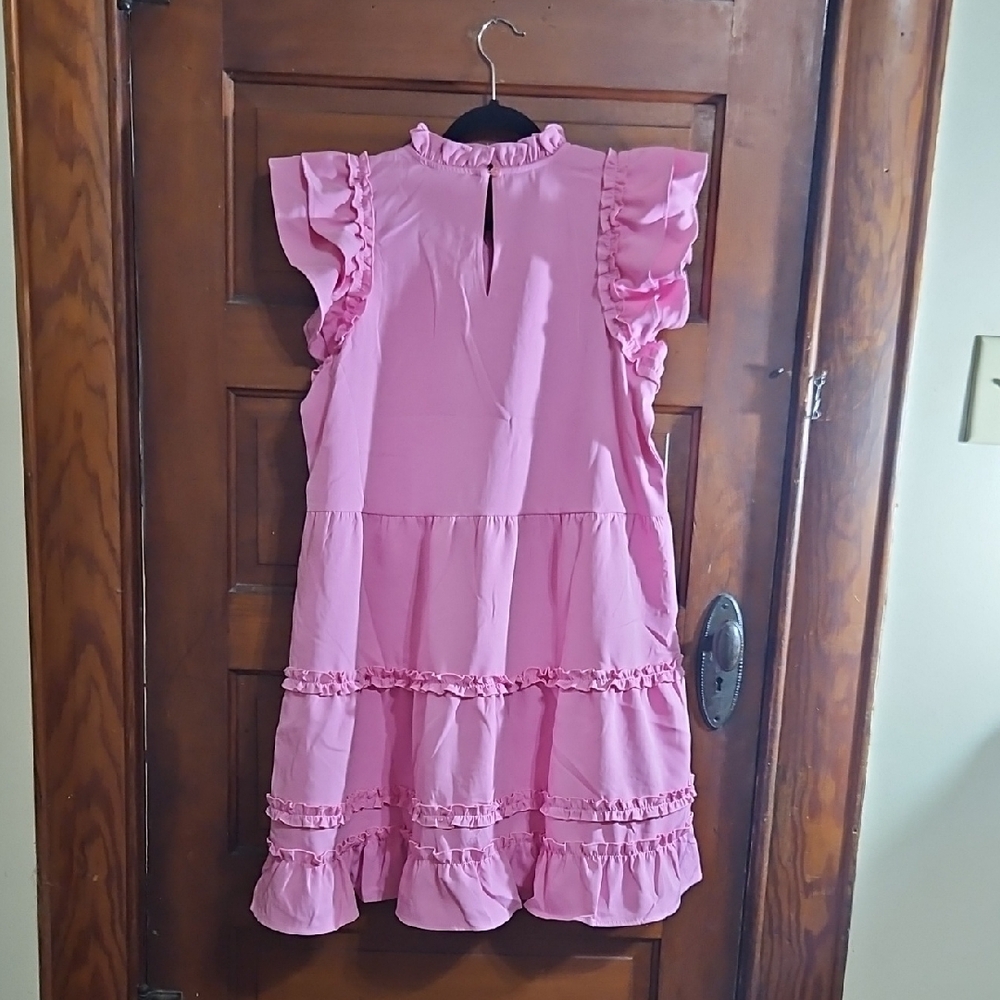 Pink Ruffle Dress - Picture 6 of 8